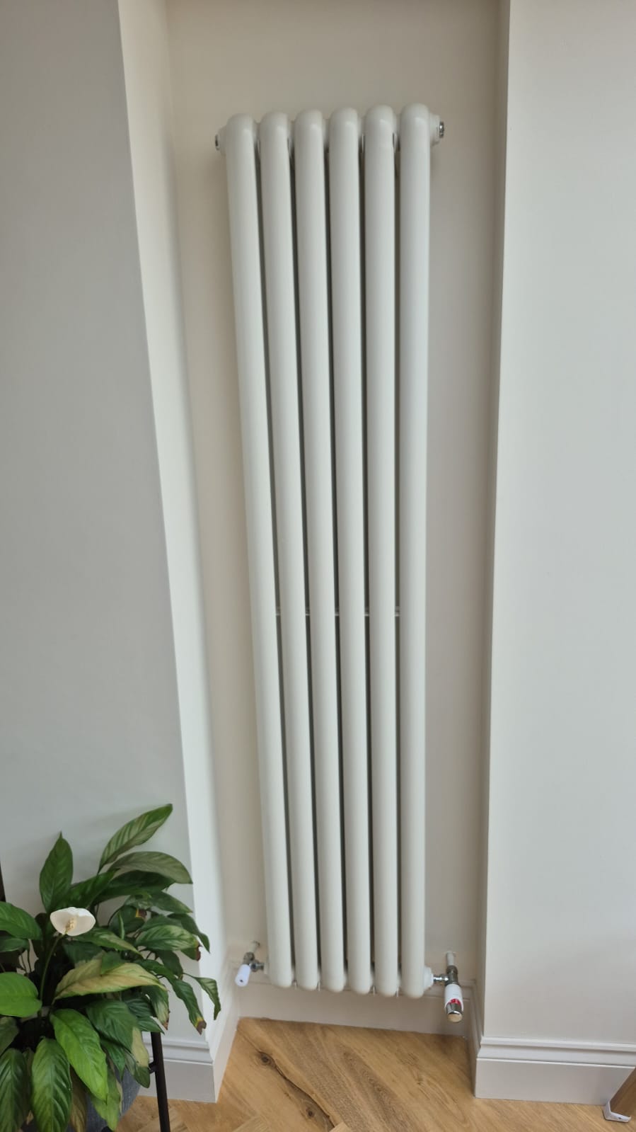 Radiator replacement with a white vertical column radiator fitted in an alcove